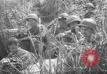 Image of United States troops Philippines, 1945, second 40 stock footage video 65675045293