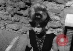 Image of fashion wear Rome Italy, 1960, second 32 stock footage video 65675045303