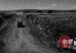 Immagine di Officer ispeziona Indie occidentali, 1958, secondo 7 filmato di repertorio 65675045307