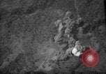 Image of French aircraft Indochina, 1954, second 56 stock footage video 65675045321