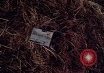 Image of United States1st Cavalry Division Vietnam, 1965, second 4 stock footage video 65675045322