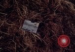 Image of United States1st Cavalry Division Vietnam, 1965, second 5 stock footage video 65675045322