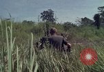 Image of United States1st Cavalry Division Vietnam, 1965, second 6 stock footage video 65675045322