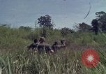 Image of United States1st Cavalry Division Vietnam, 1965, second 7 stock footage video 65675045322