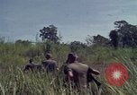 Image of United States1st Cavalry Division Vietnam, 1965, second 8 stock footage video 65675045322