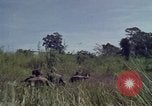 Image of United States1st Cavalry Division Vietnam, 1965, second 9 stock footage video 65675045322