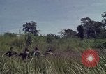 Image of United States1st Cavalry Division Vietnam, 1965, second 10 stock footage video 65675045322