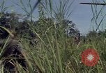 Image of United States1st Cavalry Division Vietnam, 1965, second 11 stock footage video 65675045322