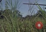 Image of United States1st Cavalry Division Vietnam, 1965, second 12 stock footage video 65675045322