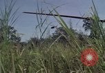Image of United States1st Cavalry Division Vietnam, 1965, second 13 stock footage video 65675045322