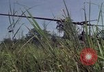 Image of United States1st Cavalry Division Vietnam, 1965, second 14 stock footage video 65675045322