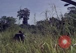 Image of United States1st Cavalry Division Vietnam, 1965, second 19 stock footage video 65675045322