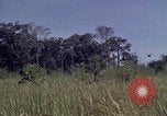 Image of United States1st Cavalry Division Vietnam, 1965, second 20 stock footage video 65675045322