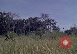 Image of United States1st Cavalry Division Vietnam, 1965, second 21 stock footage video 65675045322