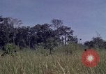 Image of United States1st Cavalry Division Vietnam, 1965, second 22 stock footage video 65675045322
