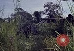 Image of United States1st Cavalry Division Vietnam, 1965, second 23 stock footage video 65675045322