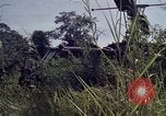 Image of United States1st Cavalry Division Vietnam, 1965, second 26 stock footage video 65675045322