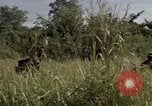 Image of United States1st Cavalry Division Vietnam, 1965, second 52 stock footage video 65675045322
