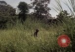 Image of United States1st Cavalry Division Vietnam, 1965, second 56 stock footage video 65675045322