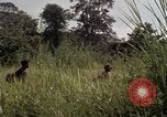 Image of United States1st Cavalry Division Vietnam, 1965, second 57 stock footage video 65675045322