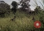 Image of United States1st Cavalry Division Vietnam, 1965, second 58 stock footage video 65675045322