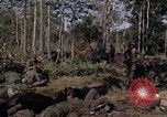 Image of United States1st Cavalry Division Vietnam, 1965, second 32 stock footage video 65675045323