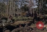 Image of United States1st Cavalry Division Vietnam, 1965, second 33 stock footage video 65675045323