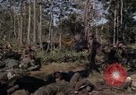 Image of United States1st Cavalry Division Vietnam, 1965, second 34 stock footage video 65675045323