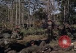 Image of United States1st Cavalry Division Vietnam, 1965, second 36 stock footage video 65675045323