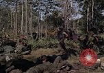 Image of United States1st Cavalry Division Vietnam, 1965, second 37 stock footage video 65675045323
