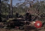 Image of United States1st Cavalry Division Vietnam, 1965, second 38 stock footage video 65675045323