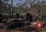 Image of United States1st Cavalry Division Vietnam, 1965, second 40 stock footage video 65675045323