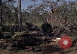 Image of United States1st Cavalry Division Vietnam, 1965, second 42 stock footage video 65675045323
