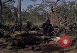 Image of United States1st Cavalry Division Vietnam, 1965, second 44 stock footage video 65675045323