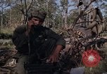 Image of United States1st Cavalry Division Vietnam, 1965, second 51 stock footage video 65675045323