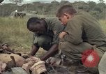 Image of United States1st Cavalry Division Vietnam, 1965, second 4 stock footage video 65675045324