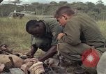Image of United States1st Cavalry Division Vietnam, 1965, second 6 stock footage video 65675045324