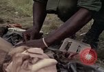 Image of United States1st Cavalry Division Vietnam, 1965, second 22 stock footage video 65675045324