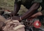 Image of United States1st Cavalry Division Vietnam, 1965, second 24 stock footage video 65675045324