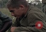 Image of United States1st Cavalry Division Vietnam, 1965, second 32 stock footage video 65675045324