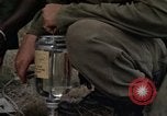 Image of United States1st Cavalry Division Vietnam, 1965, second 36 stock footage video 65675045324
