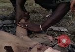 Image of United States1st Cavalry Division Vietnam, 1965, second 51 stock footage video 65675045324