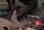 Image of United States1st Cavalry Division Vietnam, 1965, second 52 stock footage video 65675045324
