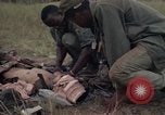 Image of United States1st Cavalry Division Vietnam, 1965, second 58 stock footage video 65675045324