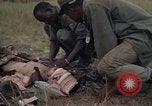 Image of United States1st Cavalry Division Vietnam, 1965, second 59 stock footage video 65675045324