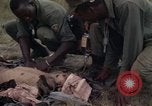 Image of United States1st Cavalry Division Vietnam, 1965, second 61 stock footage video 65675045324