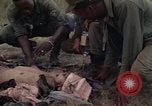 Image of United States1st Cavalry Division Vietnam, 1965, second 62 stock footage video 65675045324