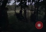 Image of United States1st Cavalry Division Vietnam, 1965, second 16 stock footage video 65675045325