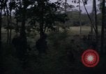 Image of United States1st Cavalry Division Vietnam, 1965, second 19 stock footage video 65675045325