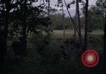 Image of United States1st Cavalry Division Vietnam, 1965, second 21 stock footage video 65675045325